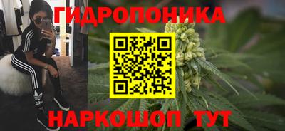 прущие грибы Аргун