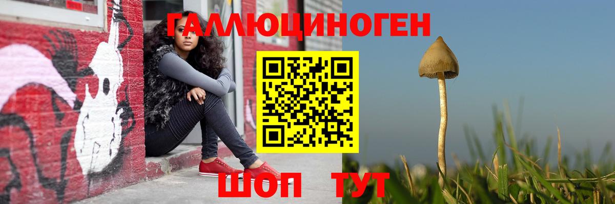 Берёзовский  Псилоцибиновые грибы MAGIC MUSHROOMS  Вход с VPN  Галлюциногенные грибы Cubensis 